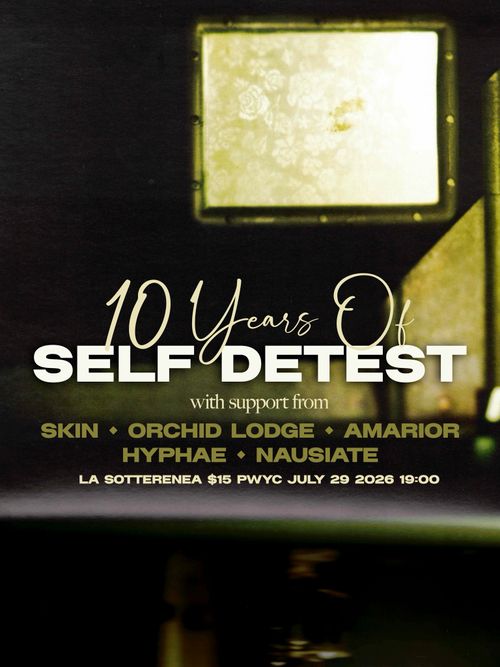 10 Years of Self Detest