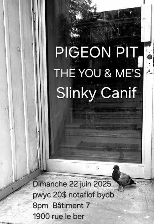 Pigeon Pit the You and Me,s and Slinky Canif
