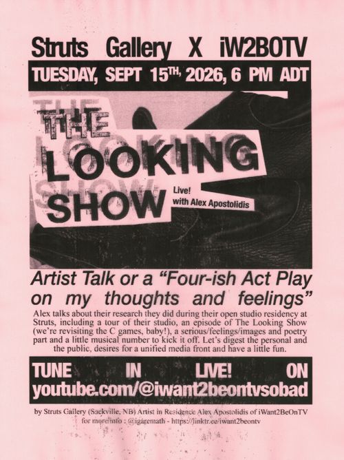 The Looking Show - Episode 4 : Artist Talk w/ Alex Apostolidis live from Struts Gallery in Sackville, NB