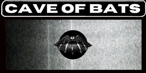 CAVE OF BATS AT THE CHURCH
