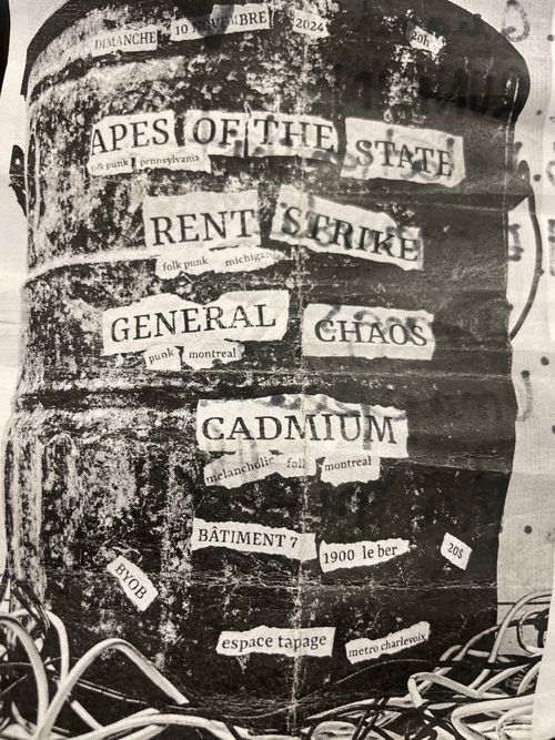 Apes of the state, rent strike, general chaos, cadmium