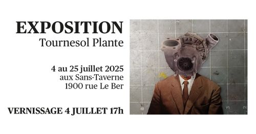 Exposition de Tournesol Plante